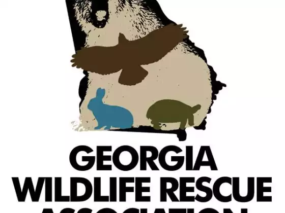 Georgia Wildlife Rescue Association  - Освіта, Інший, Некомерційне навчання, Глобальні питання, Стійкість 