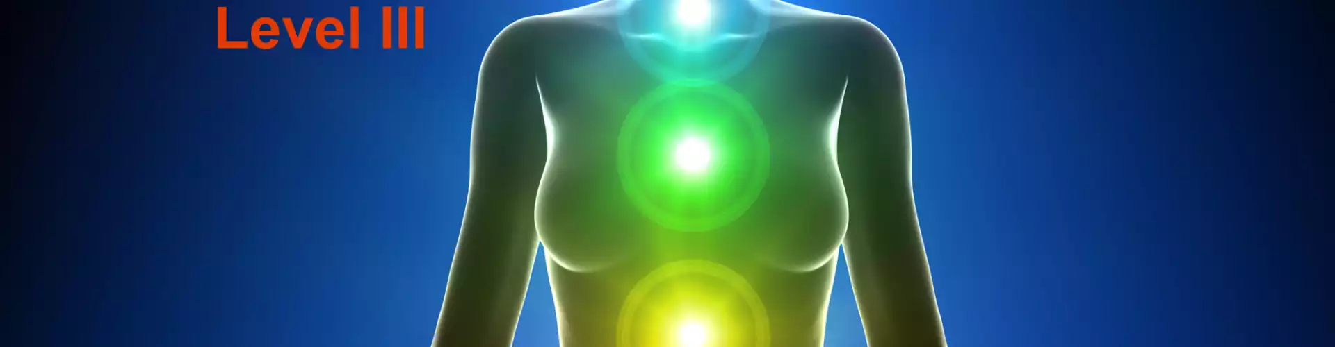 Understanding Your Energetic System - Healing the Chakras & Outer Bodies