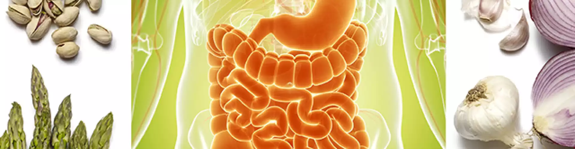 Gut Health and Why It's So Important