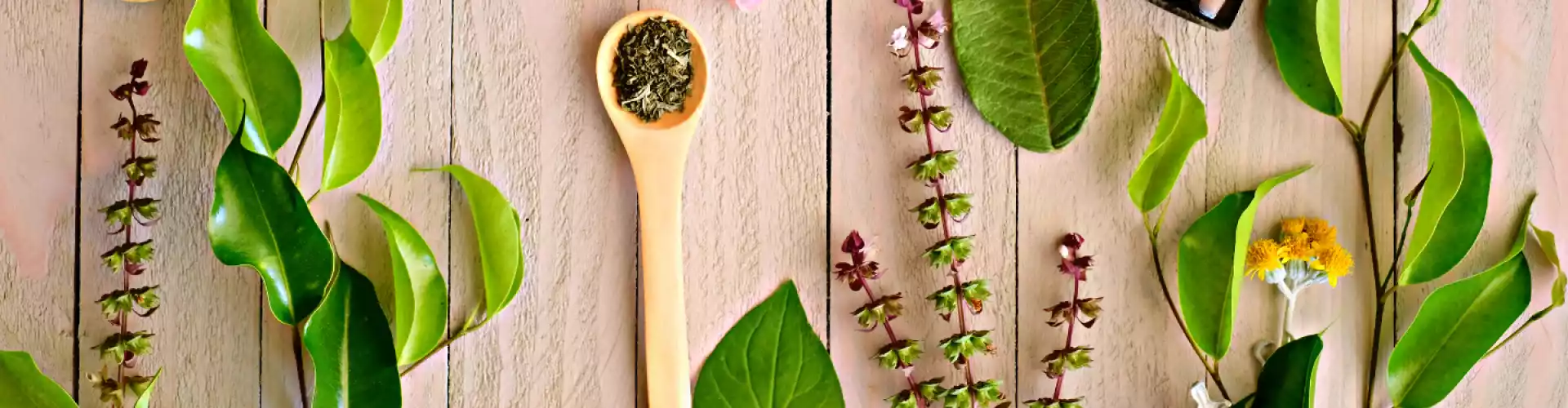 Asas Herbalisme Ayurveda