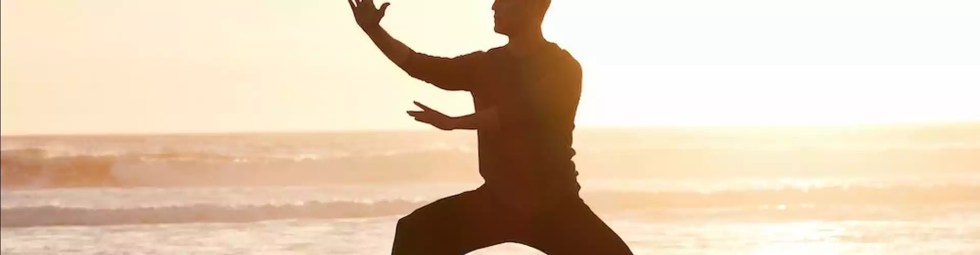 Qigong 8 بروکیڈس کے ساتھ